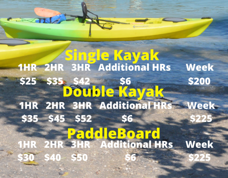 Jetty Rentals Venice Jetty Surf Report