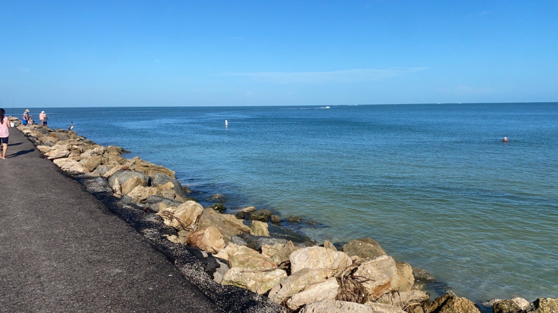 Venice Jetty Surf Report Surf, Fishing, Weather Report Kayak Rentals